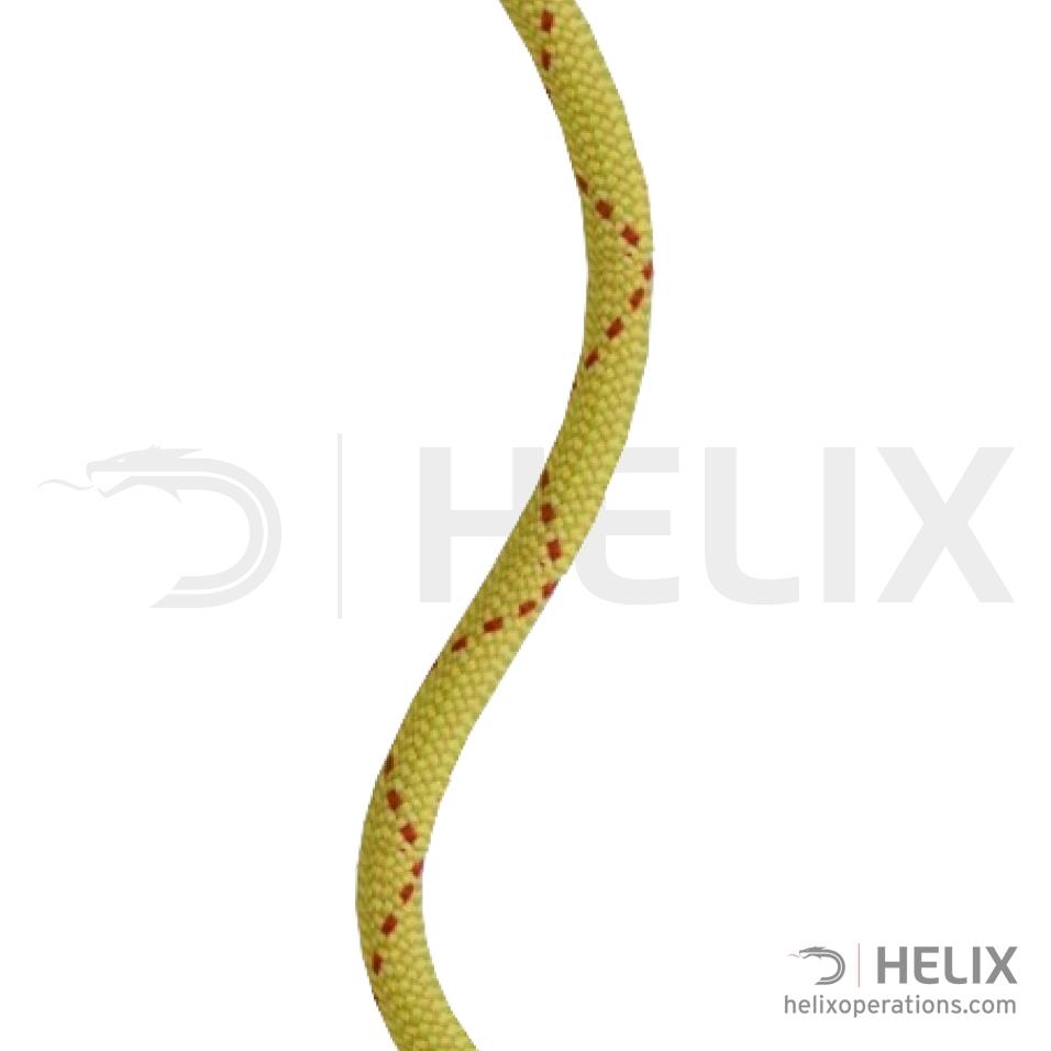 Tendon Salamander 10.2mm 